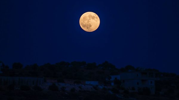 Photo by samer daboul on Pexels.com