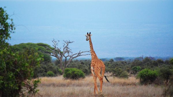 Photo by PALLAB HALDER on Pexels.com