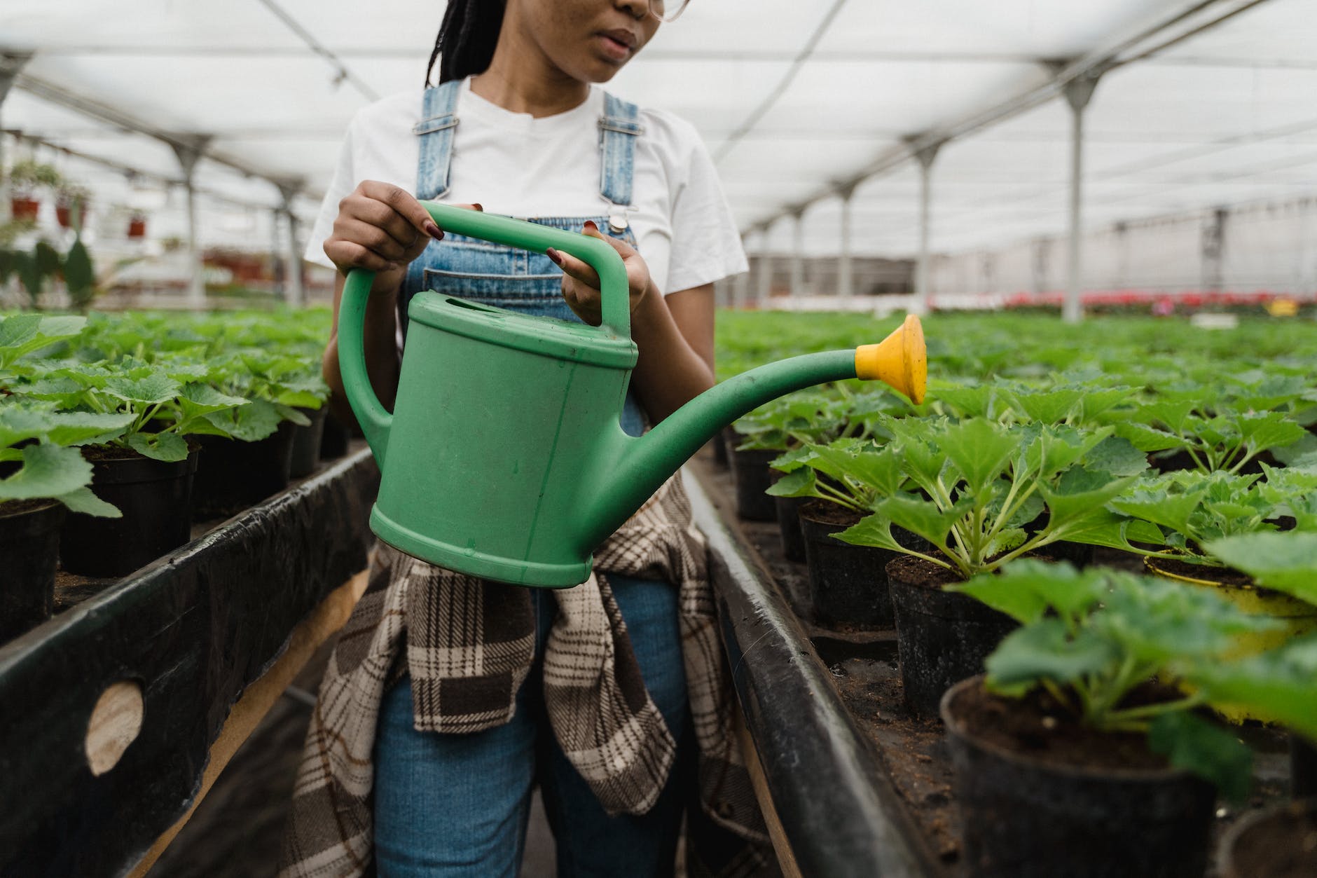 a girl watering the plants in greenhouse