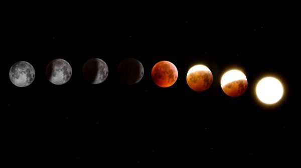 Photo by Alex Andrews on Pexels.com