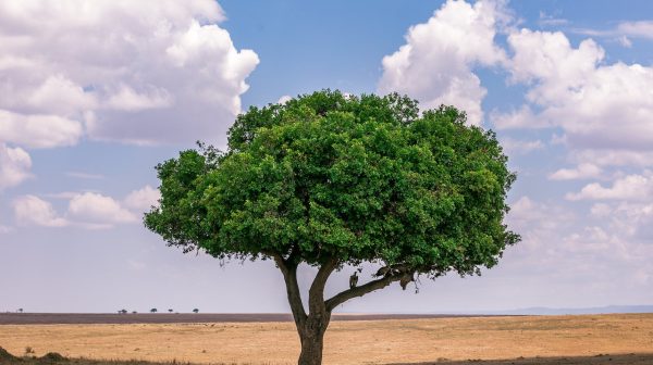 Photo by Antony Trivet on Pexels.com