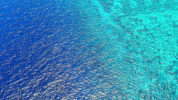Photo by Asad Photo Maldives on Pexels.com