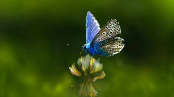 Photo by Erik Karits on Pexels.com