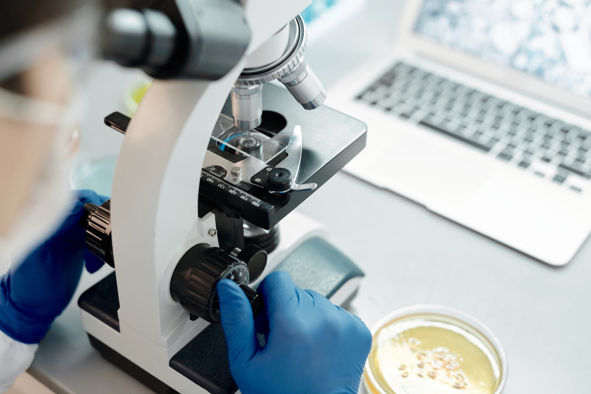 microscope and Petri dishes