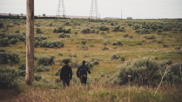Photo by Brett Sayles on Pexels.com