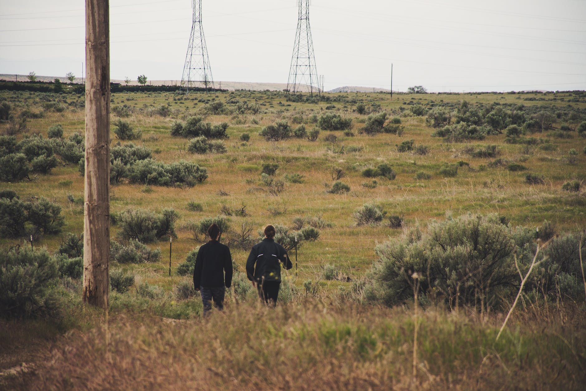 two people walking in grassy field with power towers