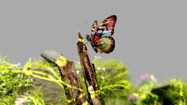 Photo by Google DeepMind on Pexels.com