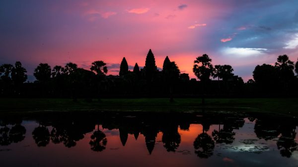Photo by Lukas Kloeppel on Pexels.com