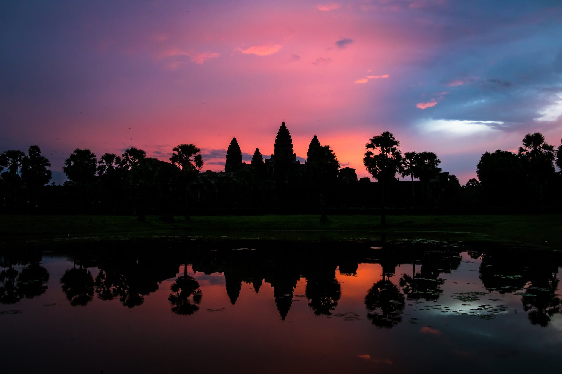 silhouette of trees near body of water during sunset