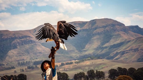 Photo by Magda Ehlers on Pexels.com