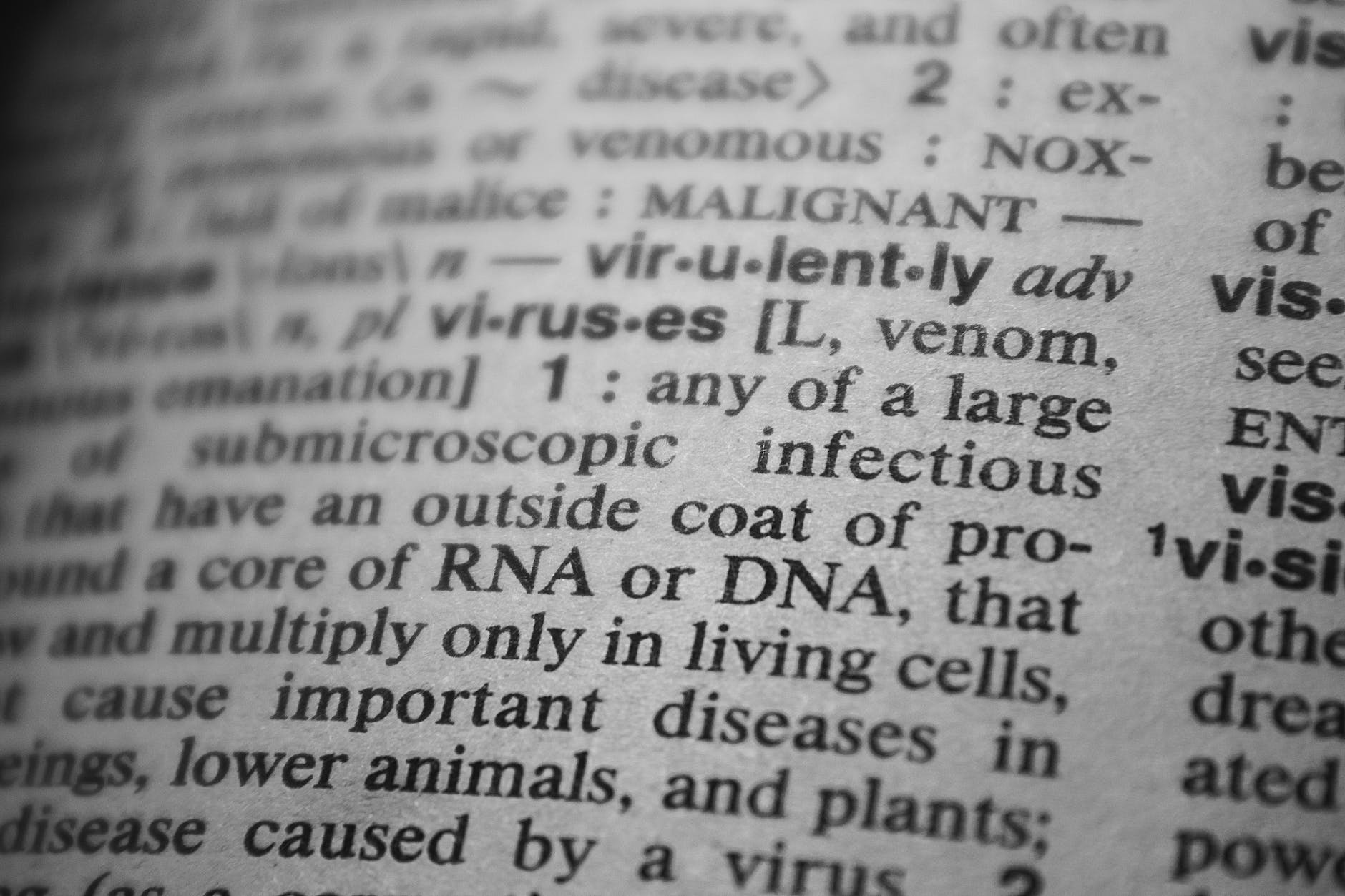 words in dictionary emphasizing DNA and RNA