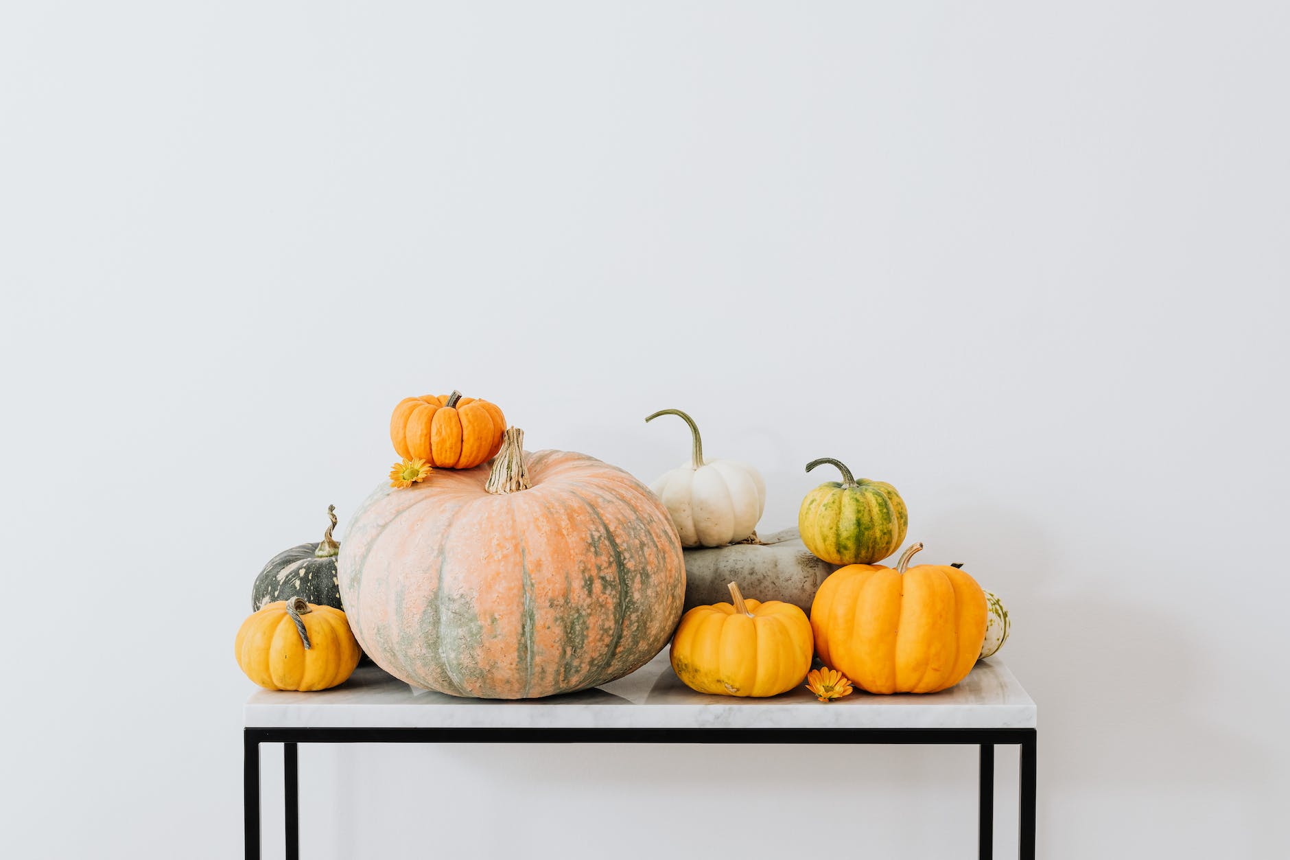 assorted types of pumpkins on a white table.