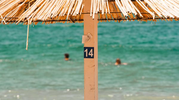 Photo by Alexander Nadrilyanski on Pexels.com
