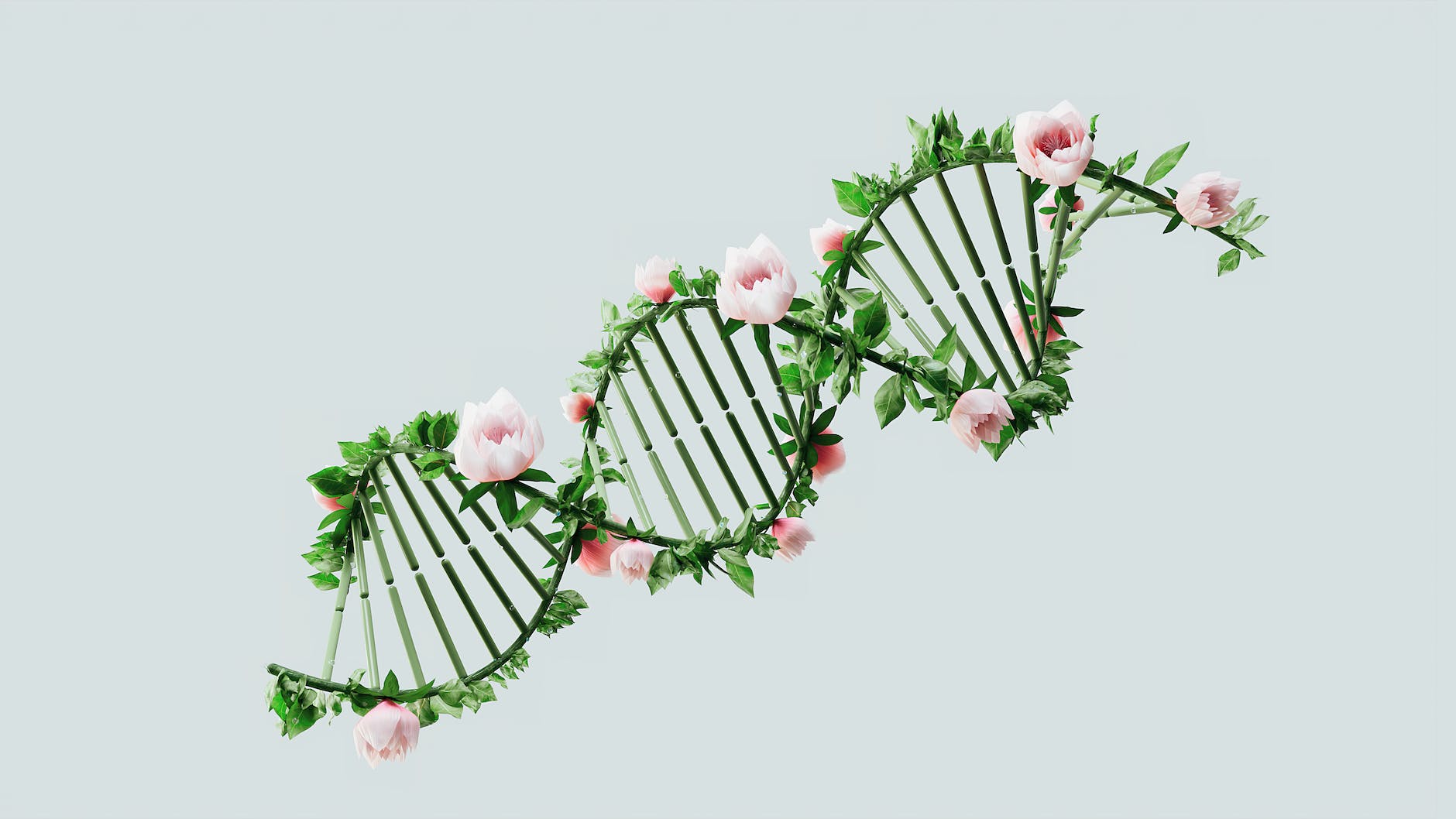 illustration of green DNA and pink roses