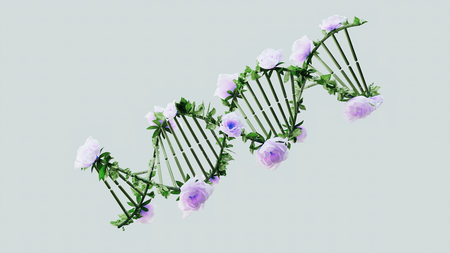 illustration of DNA helix formed by plant with leaves and purple flowers