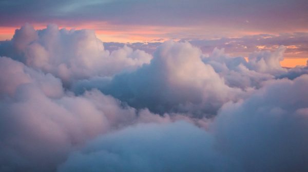 Photo by Magda Ehlers on Pexels.com