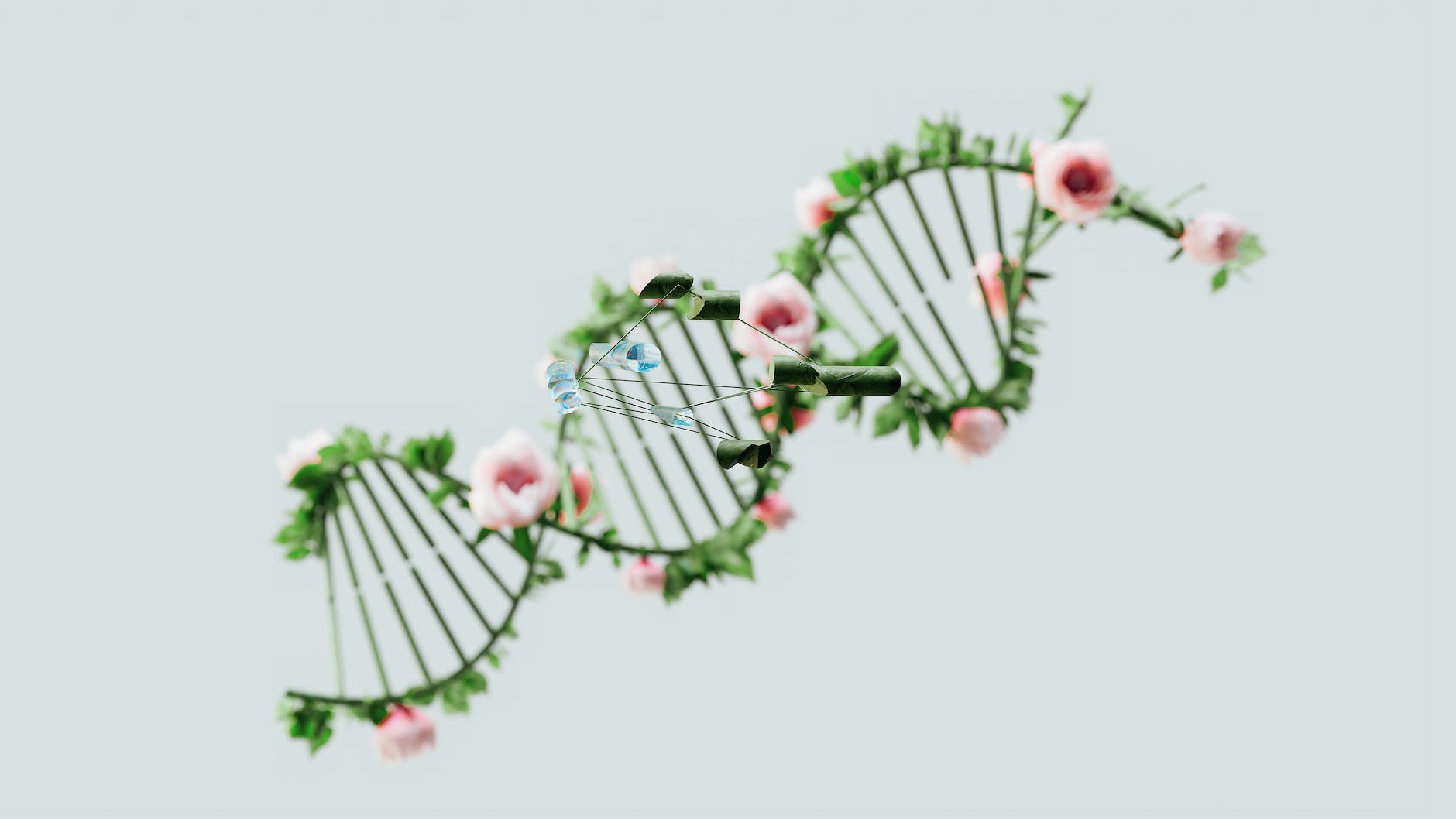 green DNA with roses