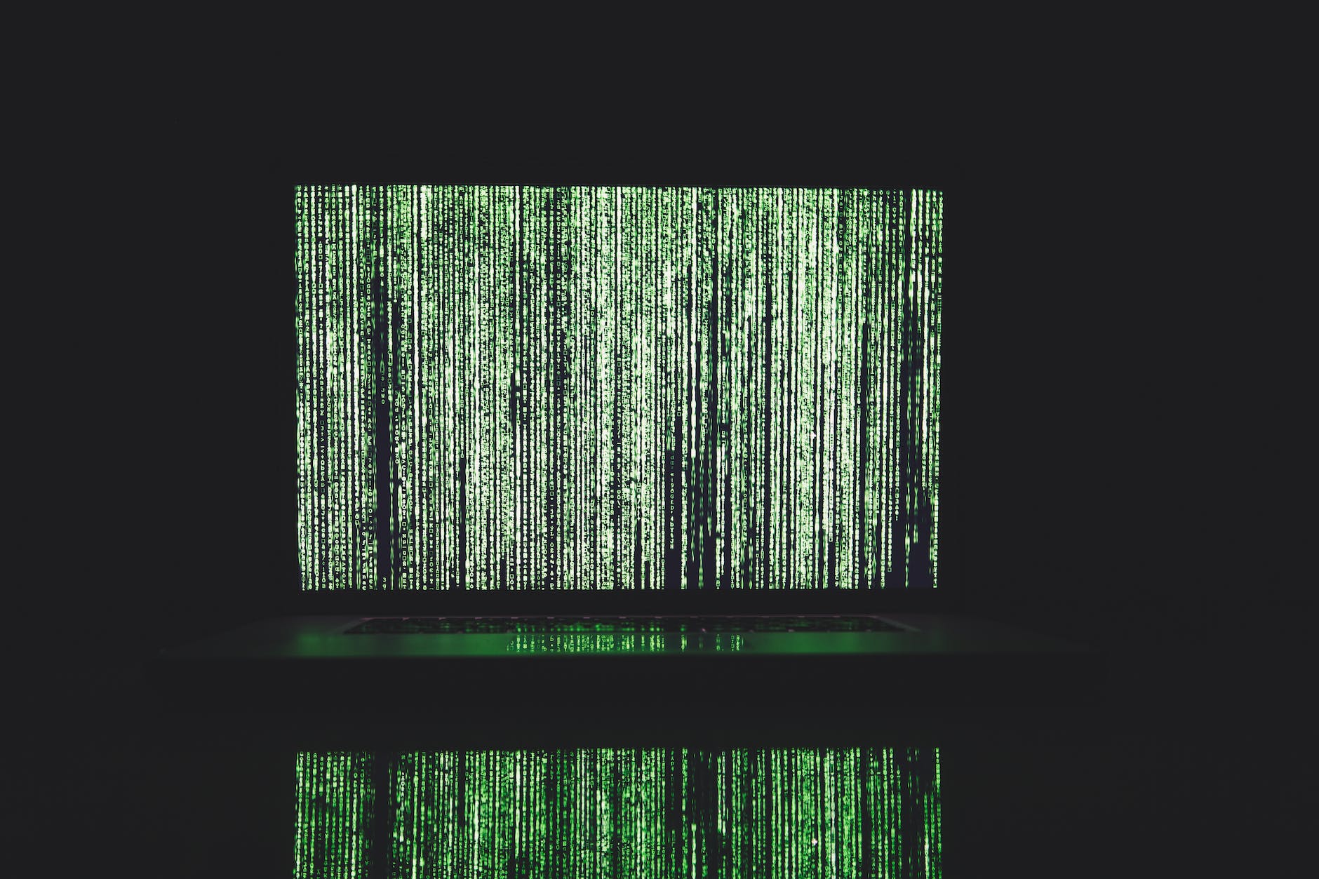 data on computer screen