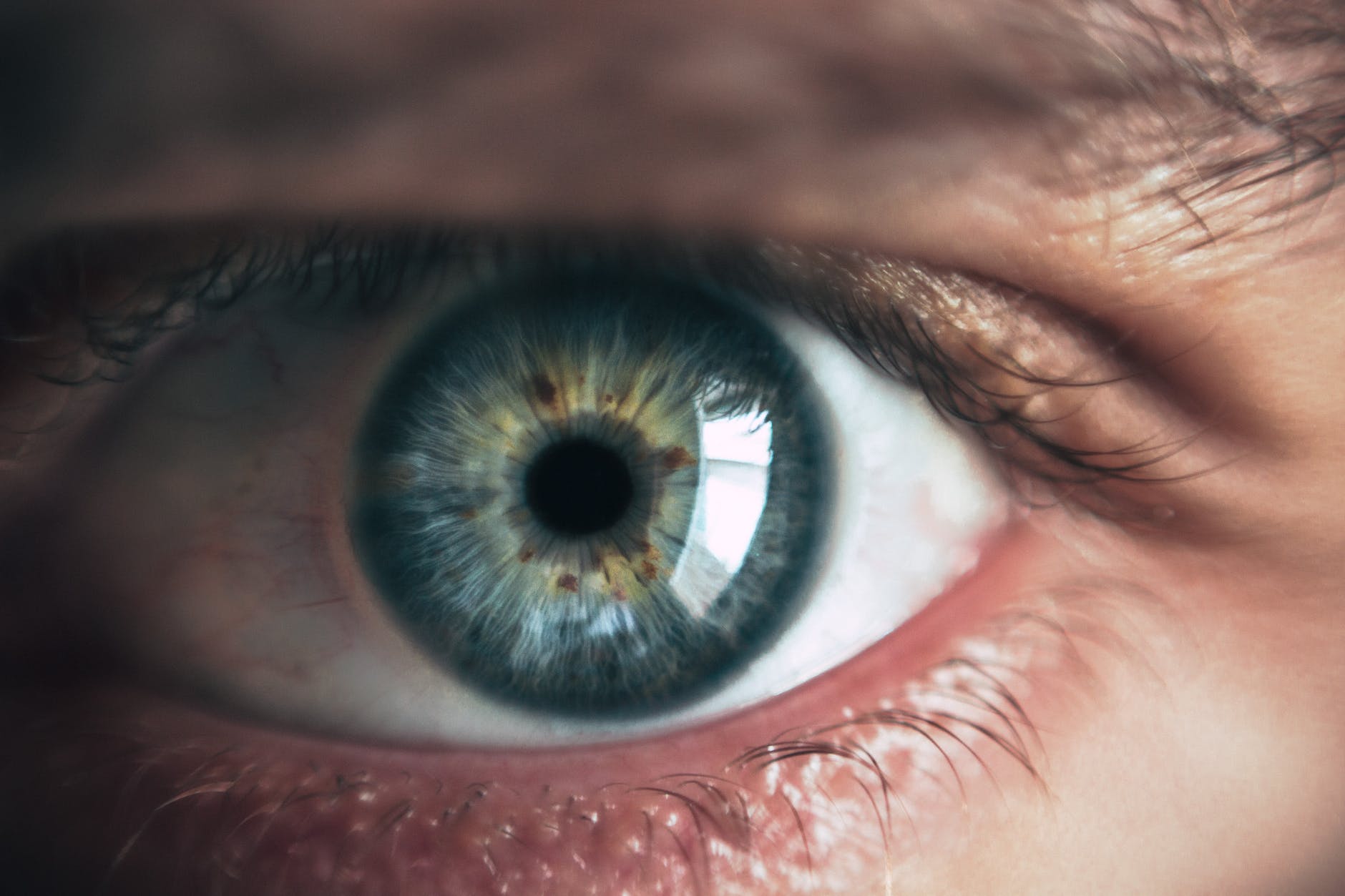 green blue retina