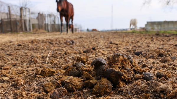 Photo by Vladimir Srajber on Pexels.com