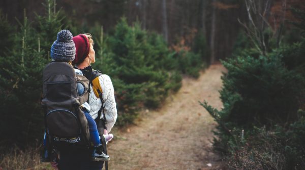 Photo by Josh Willink on Pexels.com