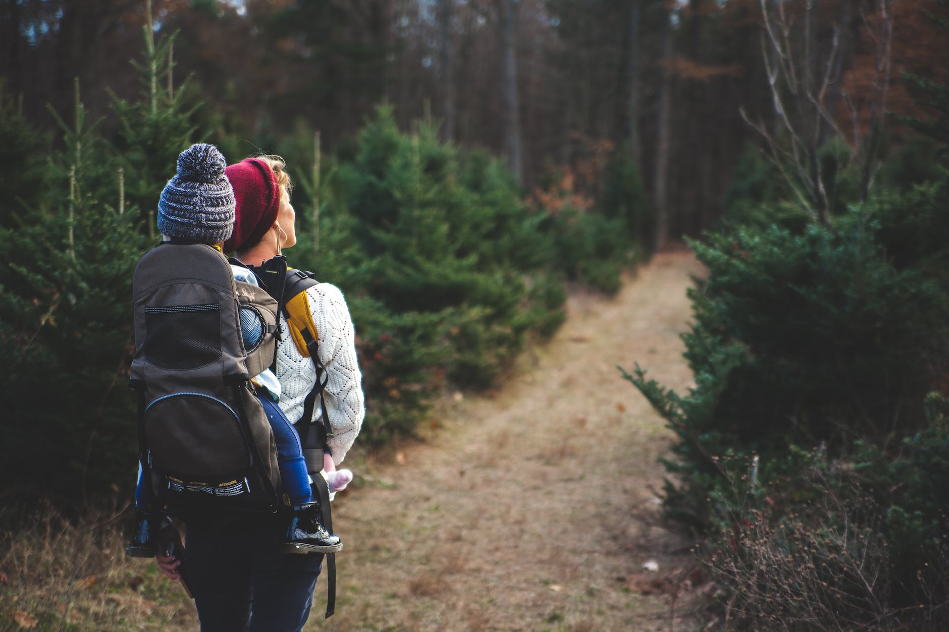 hiker traveling path