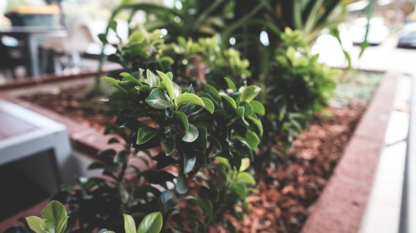 Photo by Lachlan  Ross on Pexels.com