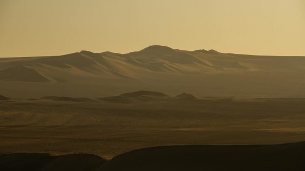 Photo by Camilo  Su00e1nchez on Pexels.com