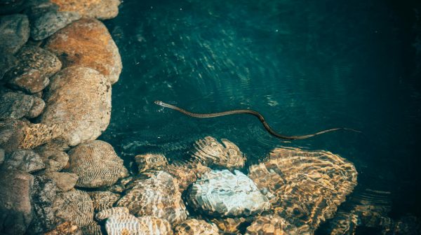 Photo by Siarhei Nester on Pexels.com