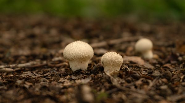 Photo by Jagjeet Dhuna on Pexels.com