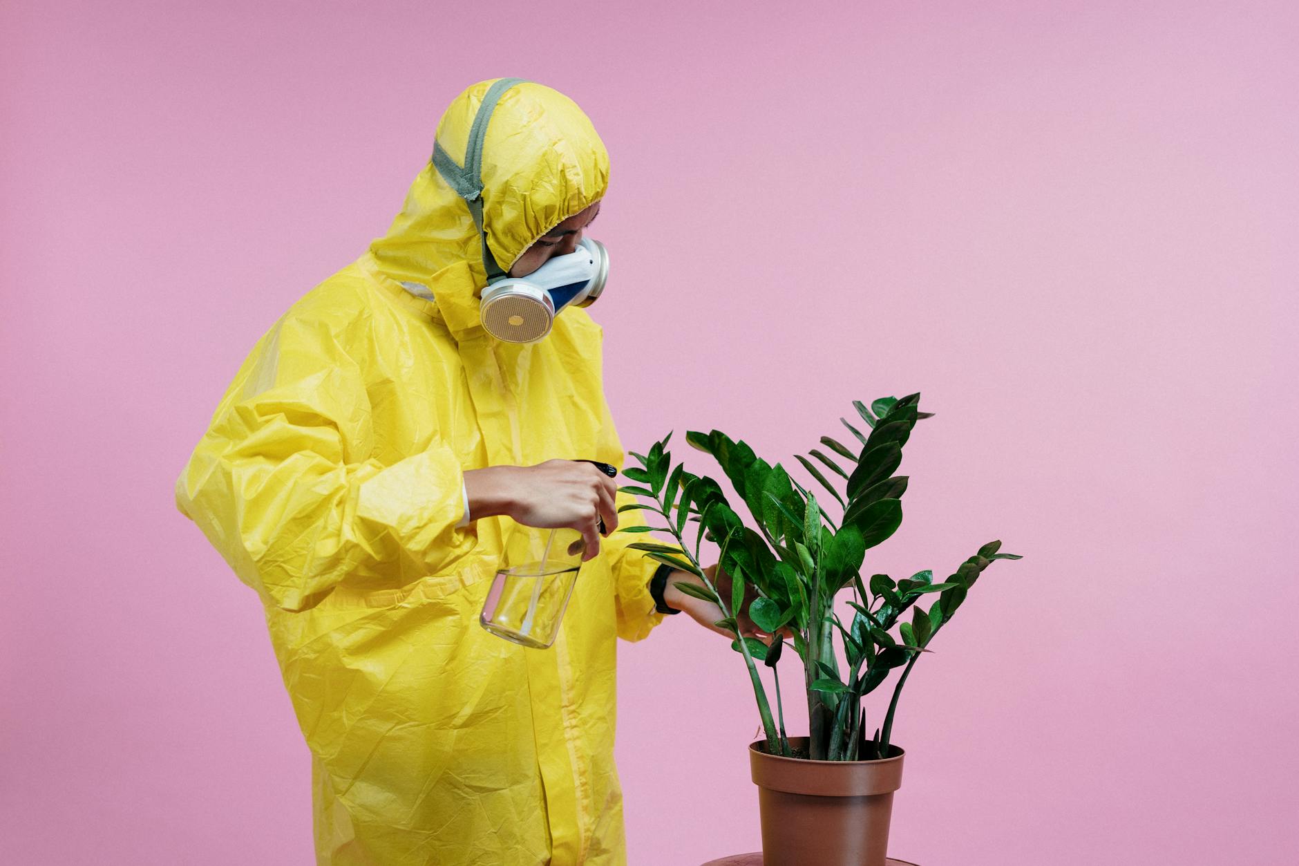 Person wearing yellow PPE and spraying plant