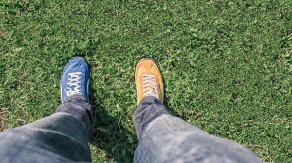 Photo by Gratisography on Pexels.com