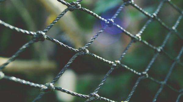 Photo by George Becker on Pexels.com