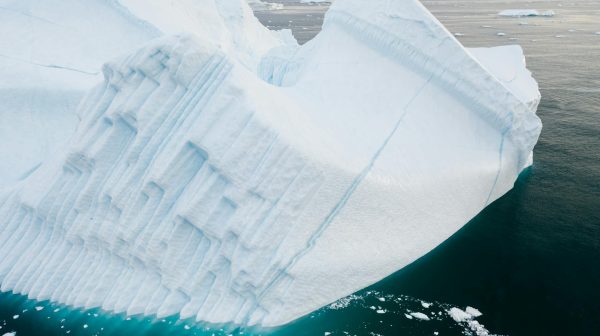 Photo by Mikhail Nilov on Pexels.com