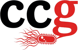 CCG no background